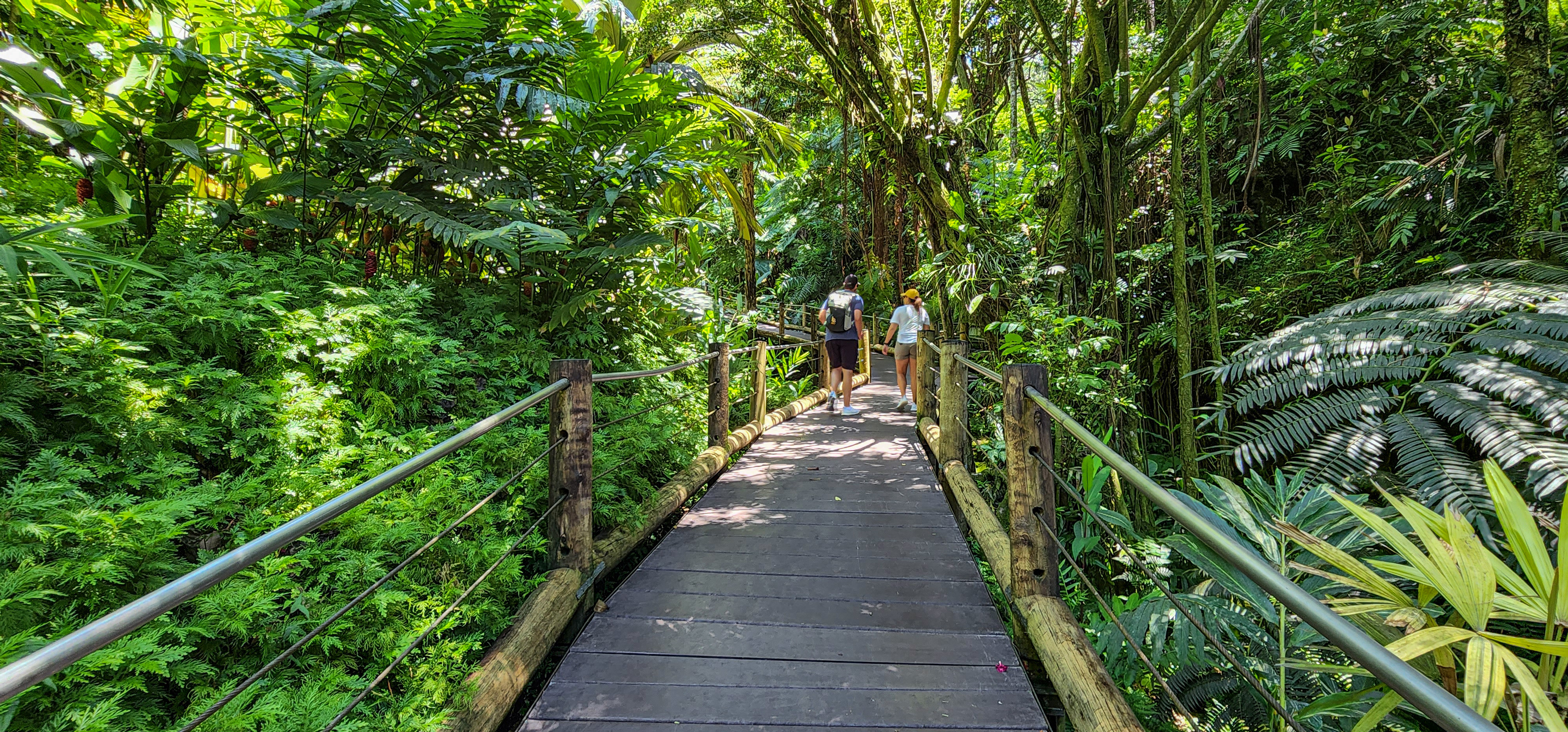 808 Hawaii tours with Kelly Dunn